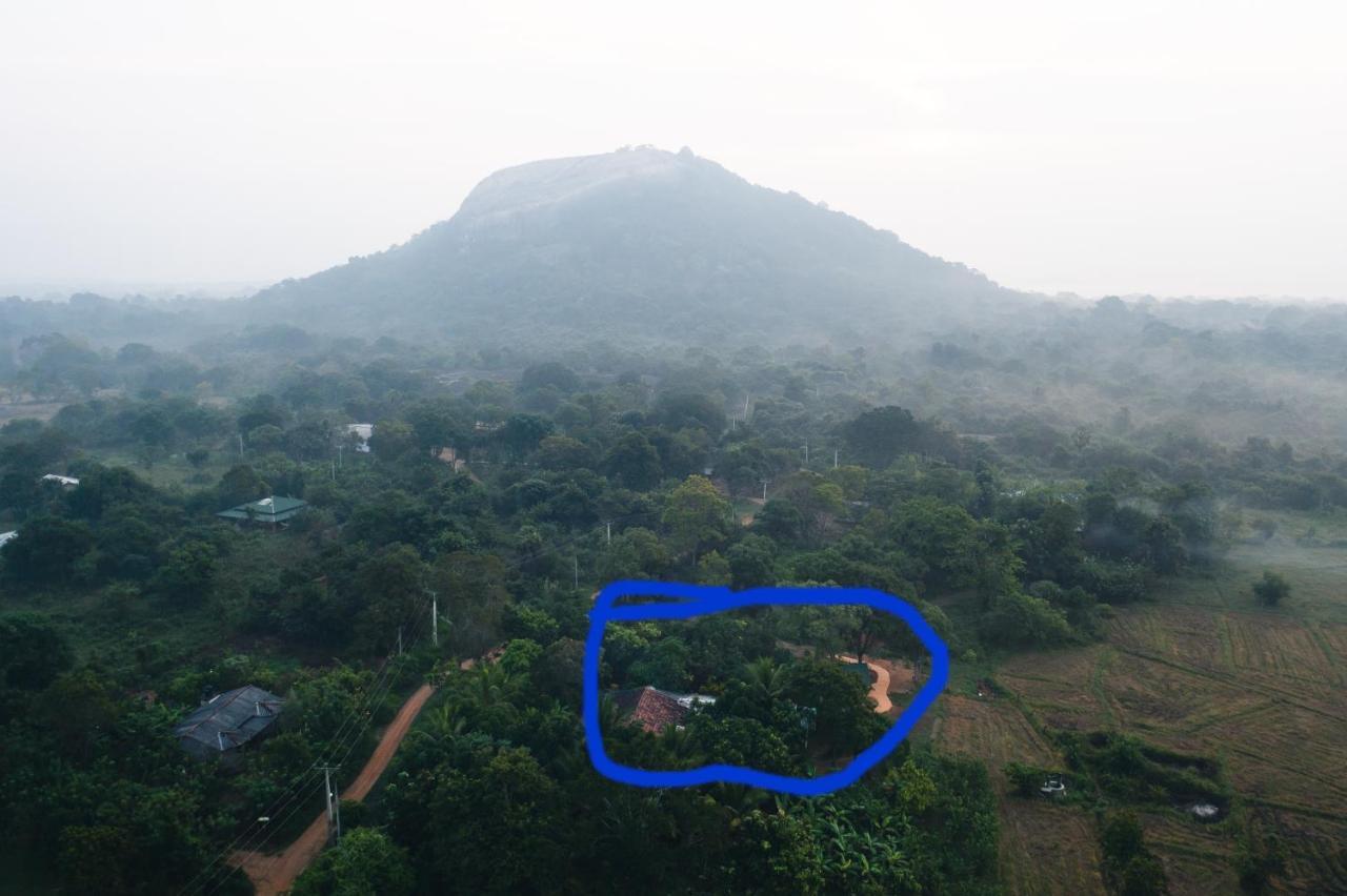 Sigiri Close-Up View Guest Sigiriya Exterior foto