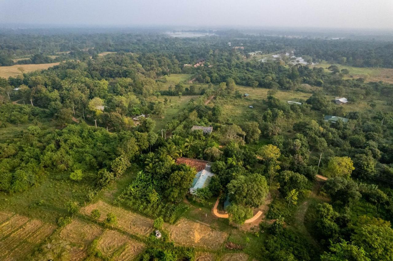 Sigiri Close-Up View Guest Sigiriya Exterior foto